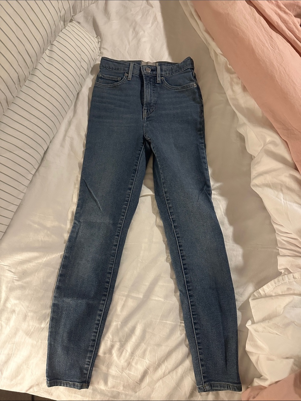 Everlane Dark Wash High-Rise Skinny Jeans